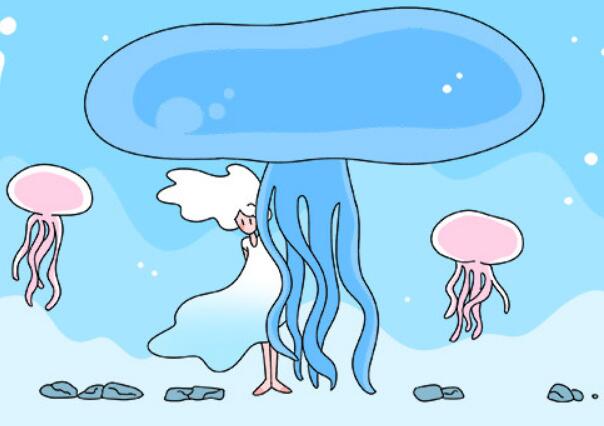 2026海口商城网站google优化排名哪家好：商城网站google优化排名公司十大排行年度榜单深度解读与趋势选择指南