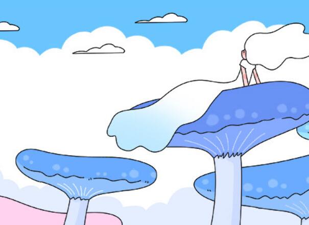 2026额尔古纳商城网站seo优化哪家好：商城网站seo优化公司十大排行年度榜单深度解读与趋势选择指南