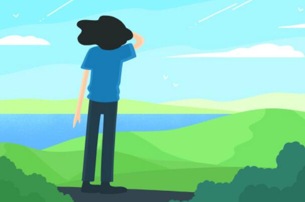 2026南雄网站建设搜索引擎优化哪家好：网站建设搜索引擎优化公司十大排名横向评测榜单发布